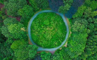 La Economía Circular de la RSC