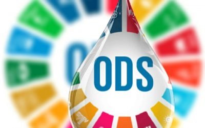 España y los órganos de la Agenda 2030 para el Desarrollo Sostenible